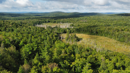 20 Acres with Katahdin Views – Springfield, Maine - image 5