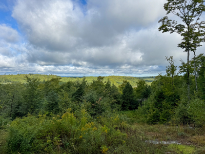 20 Acres with Katahdin Views – Springfield, Maine - image 20