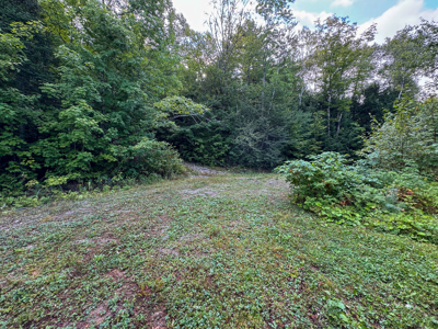 20 Acres with Katahdin Views – Springfield, Maine - image 13