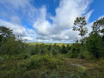 20 Acres with Katahdin Views – Springfield, Maine - image 21