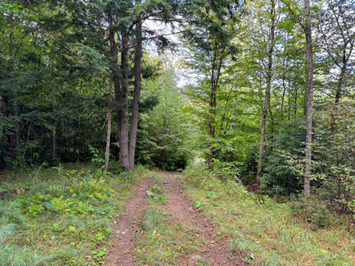 20 Acres with Katahdin Views – Springfield, Maine - image 15