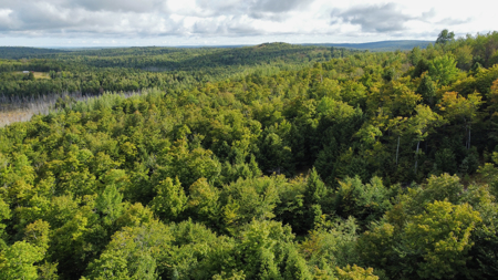 20 Acres with Katahdin Views – Springfield, Maine - image 3