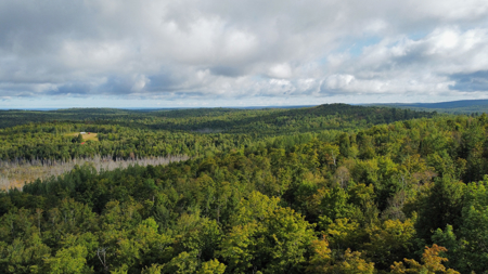 20 Acres with Katahdin Views – Springfield, Maine - image 8