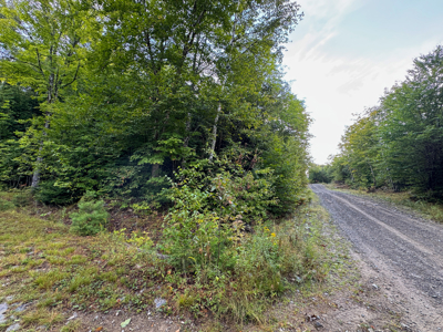 20 Acres with Katahdin Views – Springfield, Maine - image 9