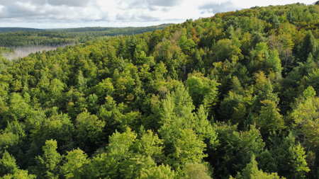 20 Acres with Katahdin Views – Springfield, Maine - image 2