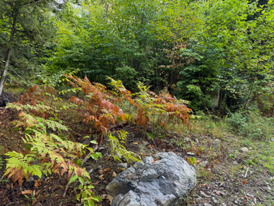 20 Acres with Katahdin Views – Springfield, Maine - image 11