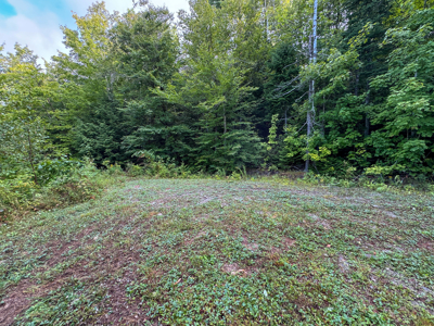 20 Acres with Katahdin Views – Springfield, Maine - image 12
