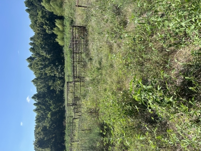 Land, Delaware County, For Sale, NE OK, 170 Acres w/ live water - image 1