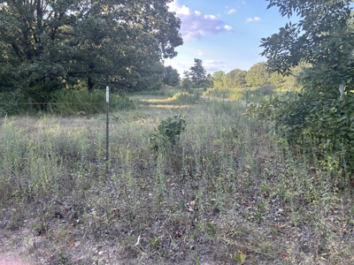 Land, Delaware County, For Sale, NE OK, 170 Acres w/ live water - image 3