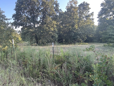 Land, Delaware County, For Sale, NE OK, 170 Acres w/ live water - image 5