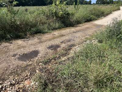 Land, Delaware County, For Sale, NE OK, 170 Acres w/ live water - image 7