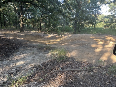 Land, Delaware County, For Sale, NE OK, 170 Acres w/ live water - image 2