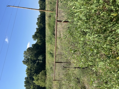 Land, Delaware County, For Sale, NE OK, 170 Acres w/ live water - image 4