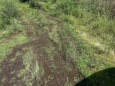 Land, Delaware County, For Sale, NE OK, 170 Acres w/ live water - image 6