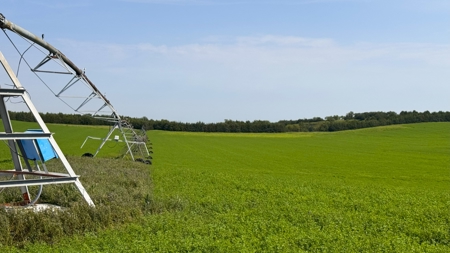 Nebraska Cattle & Hunting Ranch For Sale - image 4