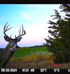 Nebraska Cattle & Hunting Ranch For Sale - image 48