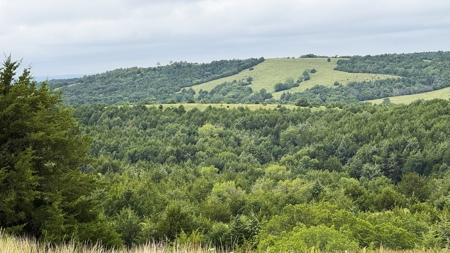 Nebraska Cattle & Hunting Ranch For Sale - image 32