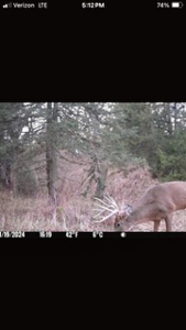 Nebraska Cattle & Hunting Ranch For Sale - image 27