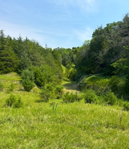 Nebraska Cattle & Hunting Ranch For Sale - image 43
