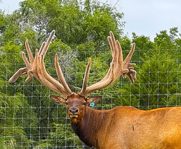 Nebraska Cattle & Hunting Ranch For Sale - image 25