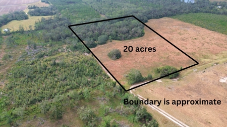 Land For Sale In Lafayette County Florida! - image 5