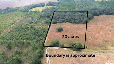 Land For Sale In Lafayette County Florida! - image 2