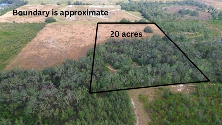 Land For Sale In Lafayette County Florida! - image 4