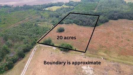 Land For Sale In Lafayette County Florida! - image 3