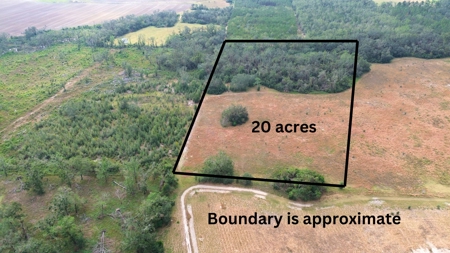 Land For Sale In Lafayette County Florida! - image 6