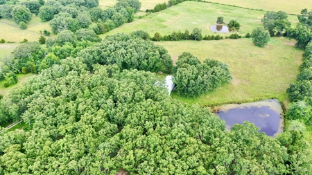 Country Home With Acreage For Sale in Salem, Missouri! - image 24