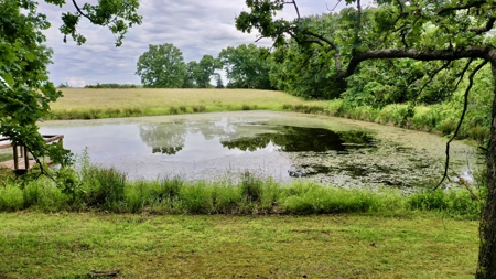 Country Home With Acreage For Sale in Salem, Missouri! - image 17