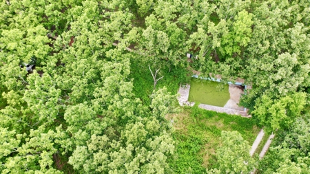 Country Home With Acreage For Sale in Salem, Missouri! - image 23