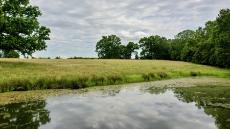 Country Home With Acreage For Sale in Salem, Missouri! - image 20