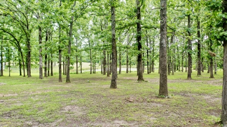 Country Home With Acreage For Sale in Salem, Missouri! - image 27