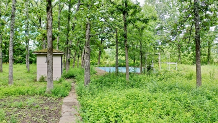 Country Home With Acreage For Sale in Salem, Missouri! - image 29