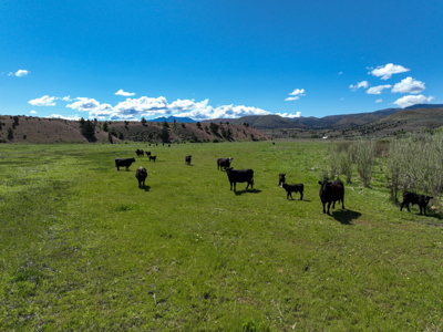 Eastern Oregon Mascall Ranch Outside Dayville - image 26