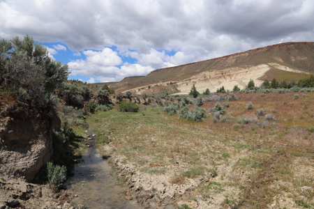 Eastern Oregon Mascall Ranch Outside Dayville - image 5