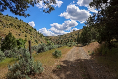 Eastern Oregon Mascall Ranch Outside Dayville - image 19
