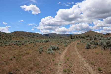 Eastern Oregon Mascall Ranch Outside Dayville - image 7