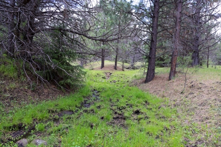 Eastern Oregon Mascall Ranch Outside Dayville - image 14