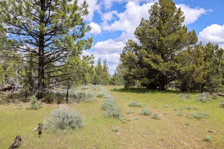 Eastern Oregon Mascall Ranch Outside Dayville - image 17
