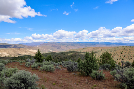 Eastern Oregon Mascall Ranch Outside Dayville - image 9