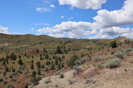 Eastern Oregon Mascall Ranch Outside Dayville - image 6
