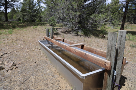 Eastern Oregon Mascall Ranch Outside Dayville - image 16