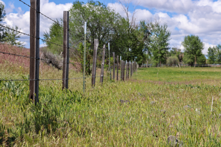 Eastern Oregon Mascall Ranch Outside Dayville - image 2