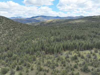 Eastern Oregon Mascall Ranch Outside Dayville - image 20
