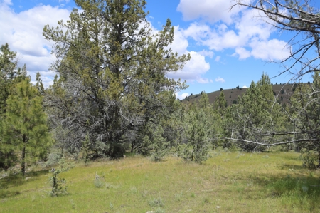 Eastern Oregon Mascall Ranch Outside Dayville - image 13