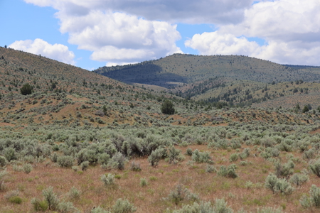 Eastern Oregon Mascall Ranch Outside Dayville - image 8