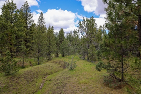 Eastern Oregon Mascall Ranch Outside Dayville - image 15