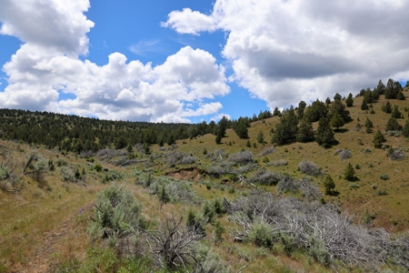 Eastern Oregon Mascall Ranch Outside Dayville - image 12